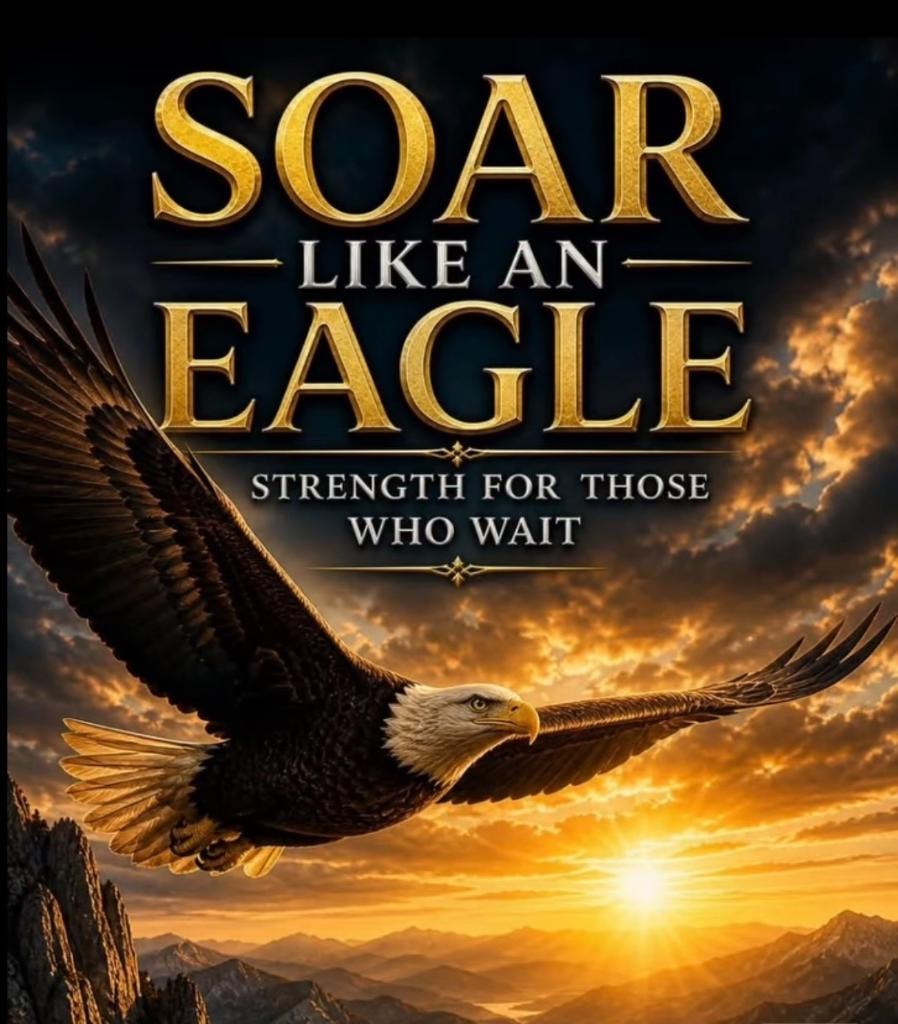 Soar Like an Eagle — Strength for Those Who Wait